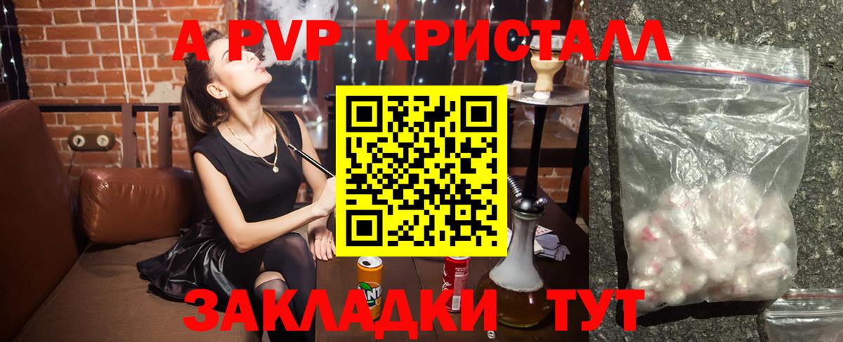 Альфа ПВП СК Камень-на-Оби