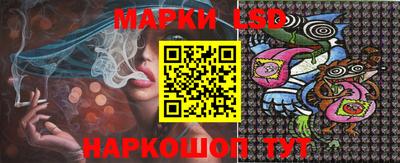 прущие грибы Ярославль