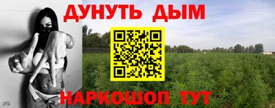 прущие грибы Ярославль