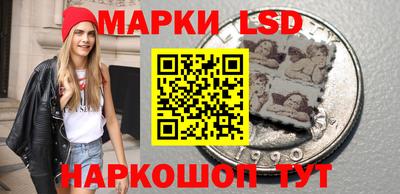 прущие грибы Ярославль
