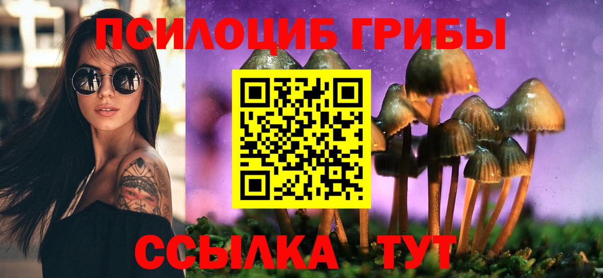 Камень-на-Оби  Псилоцибиновые грибы Cubensis  Галлюциногенные грибы ЛСД  Вход с VPN 