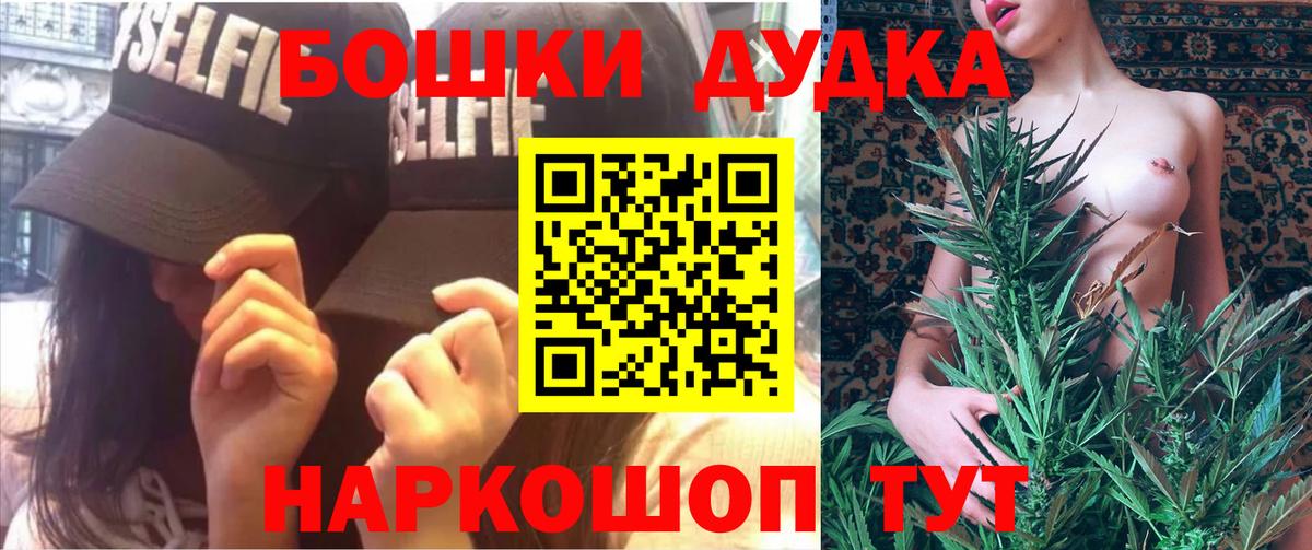 Конопля гибрид Камень-на-Оби